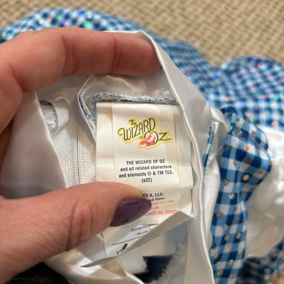 Rubies Costumes Girls' Sparkling Wizard of Oz Dorothy Costume Toddler Size - Picture 8 of 12